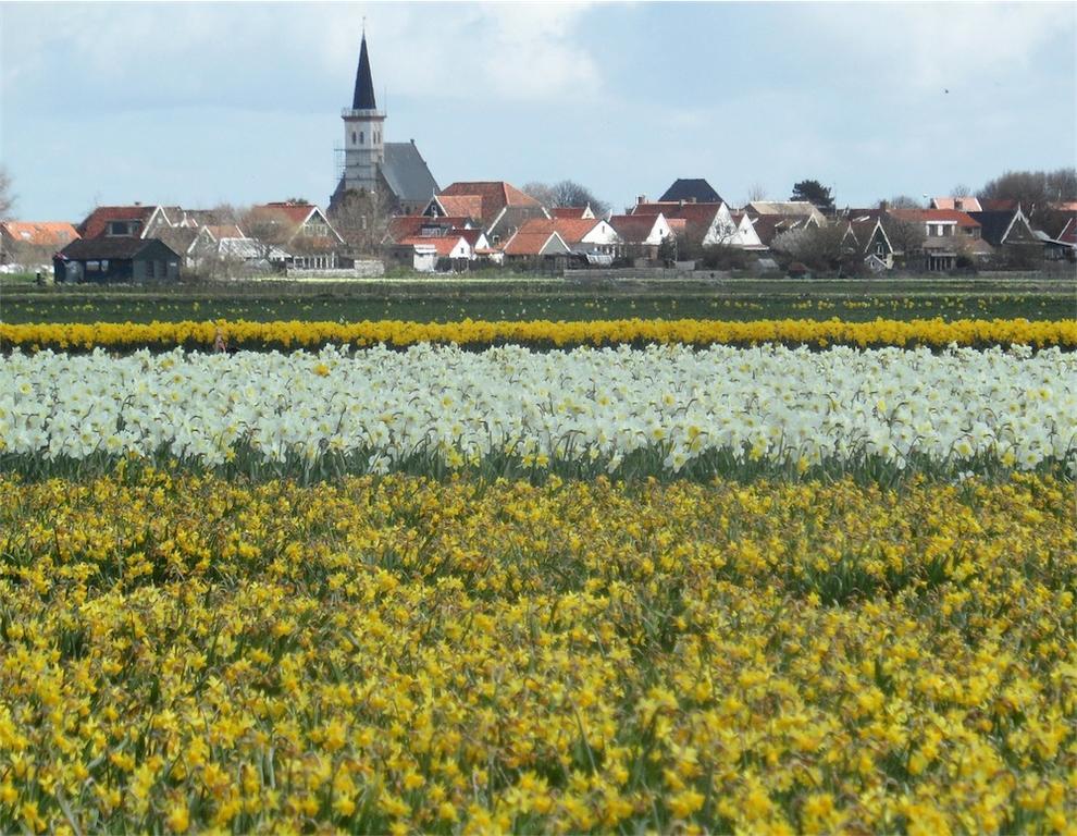 Bed En Breakfast Kamers En Meer Het Spookhuis Den Hoorn  Exterior photo